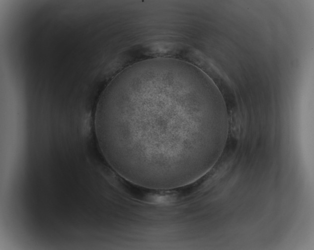 X0000101650563200807171255