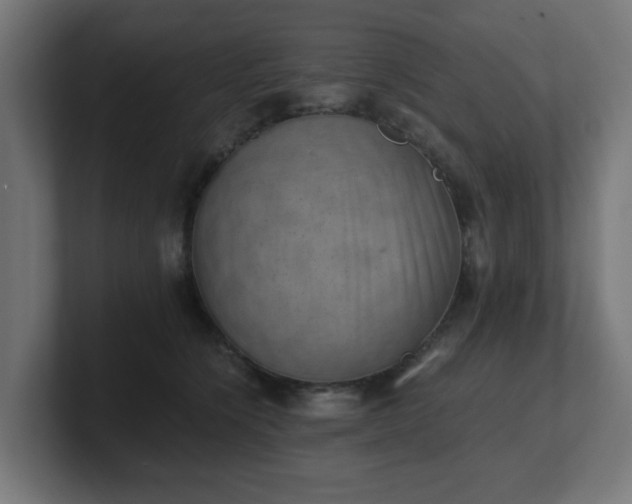 X0000101650564200807171255