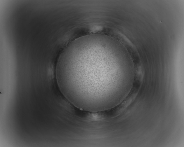 X0000101650565200807171255