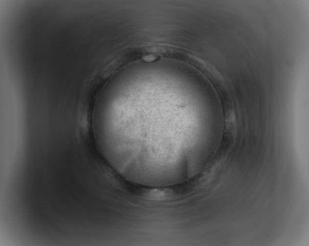 X0000101650566200807171255