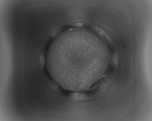 X0000101650568200807171255