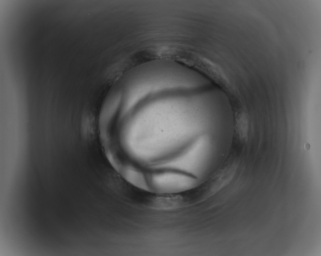 X0000101650571200807171255