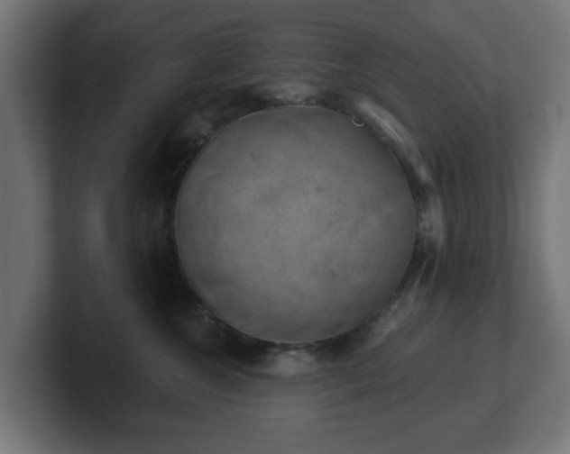 X0000101650572200807171255