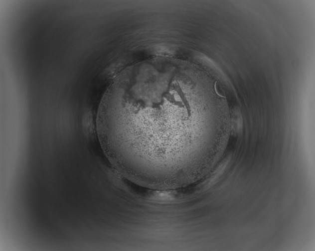 X0000101650573200807171256