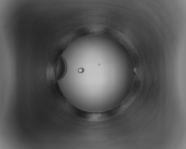 X0000101650575200807171256