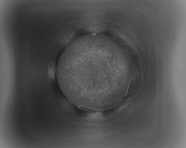 X0000101650576200807171256