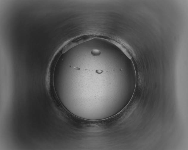 X0000101650580200807171255