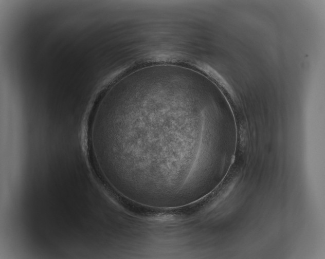 X0000101650581200807171255