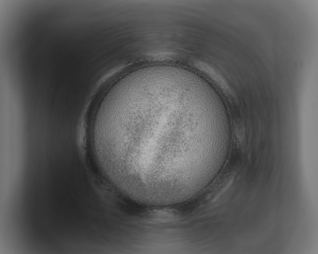 X0000101650583200807171255