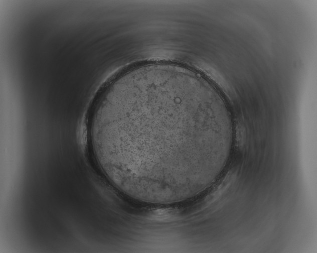 X0000101650584200807171255