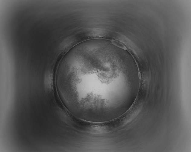 X0000101650585200807171255