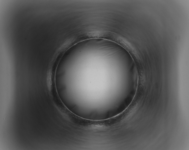 X0000101650586200807171255