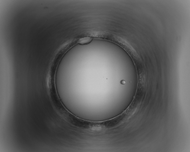 X0000101650587200807171255