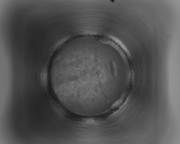 X0000101650588200807171255