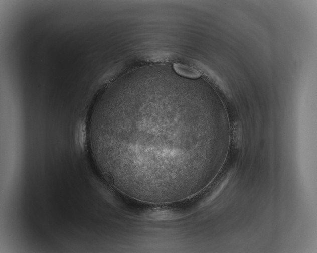 X0000101650589200807171255