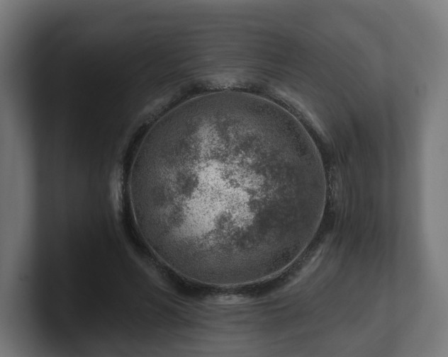 X0000101650590200807171255