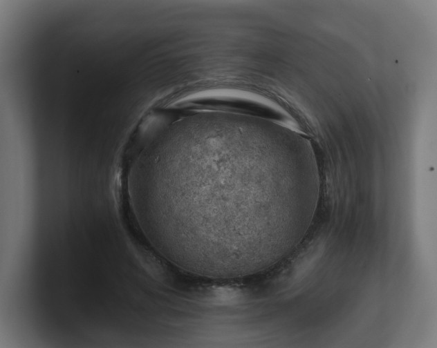 X0000101650592200807171255