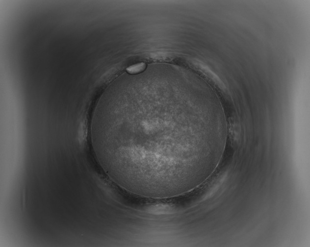 X0000101650593200807171255