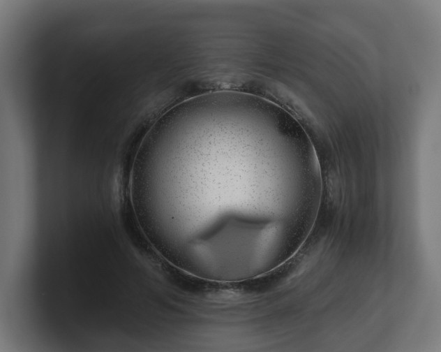 X0000101650594200807171255