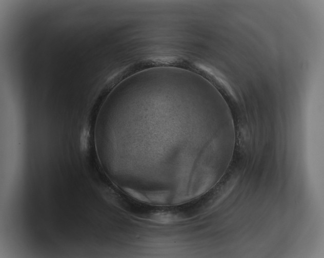 X0000101650596200807171255