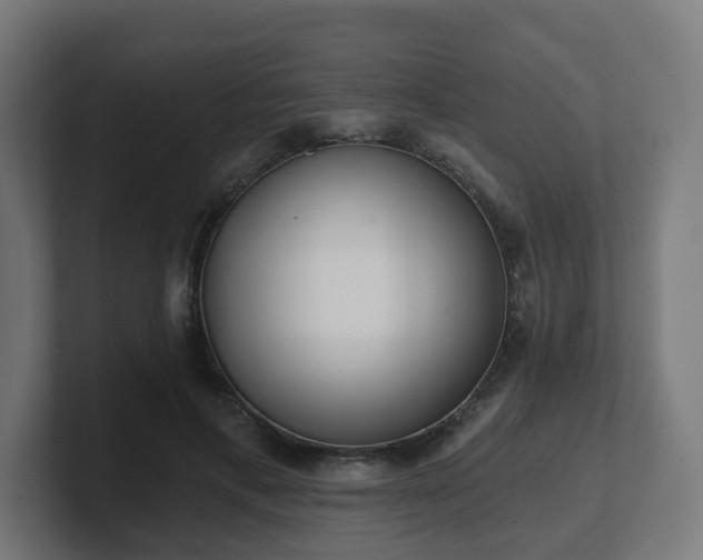 X0000101650597200807171255