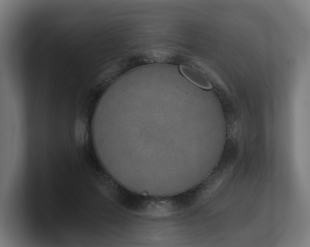 X0000101650599200807171255