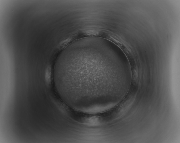 X0000101650600200807171255