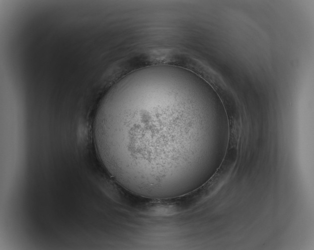 X0000101650601200807171255