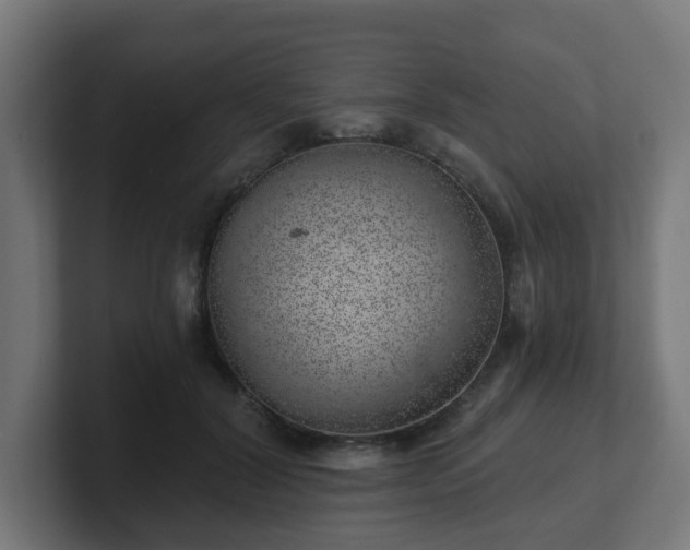 X0000101650604200807171255