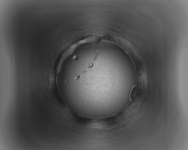 X0000101650608200807171254