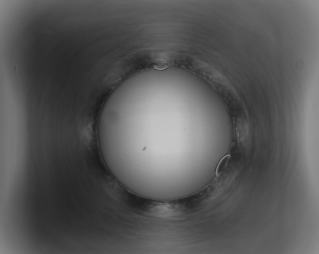 X0000101650611200807171254