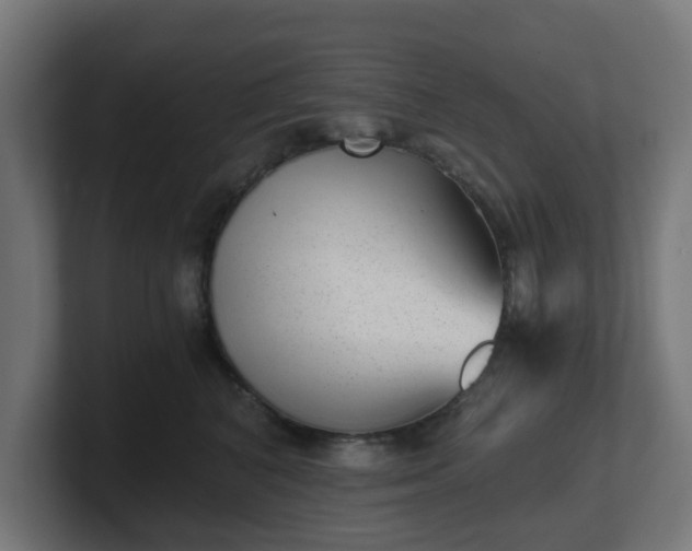 X0000101650616200807171254