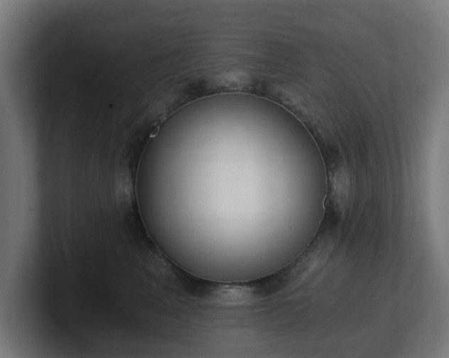 X0000101650617200807171254