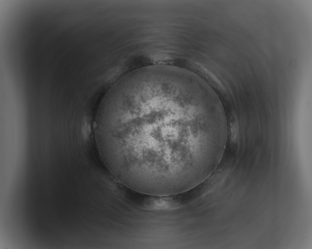 X0000101650618200807171254