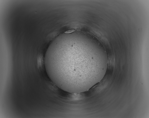 X0000101650623200807171254