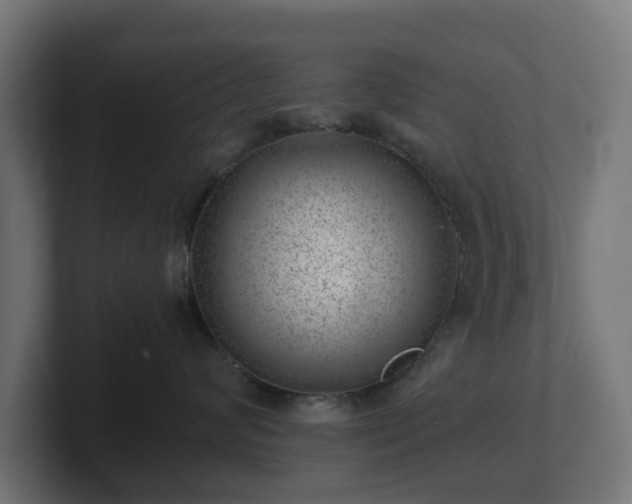 X0000101650624200807171254