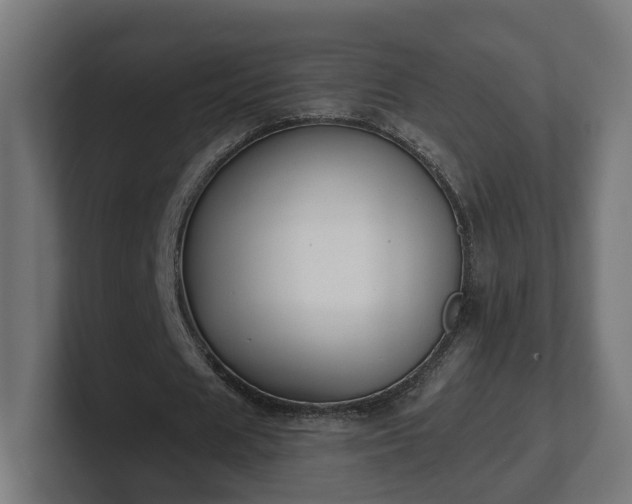 X0000101650625200807171254