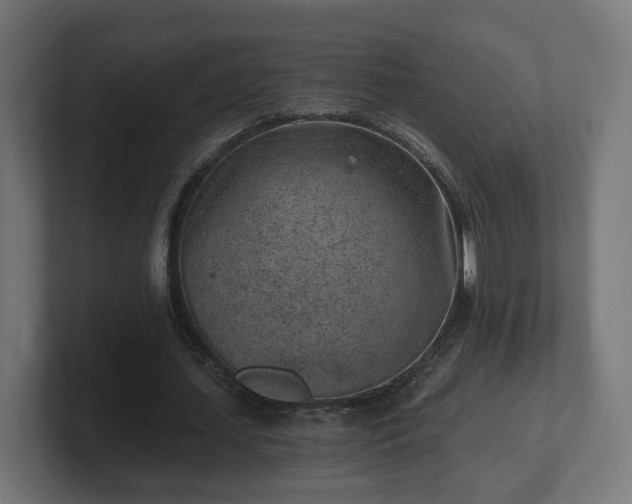 X0000101650627200807171254