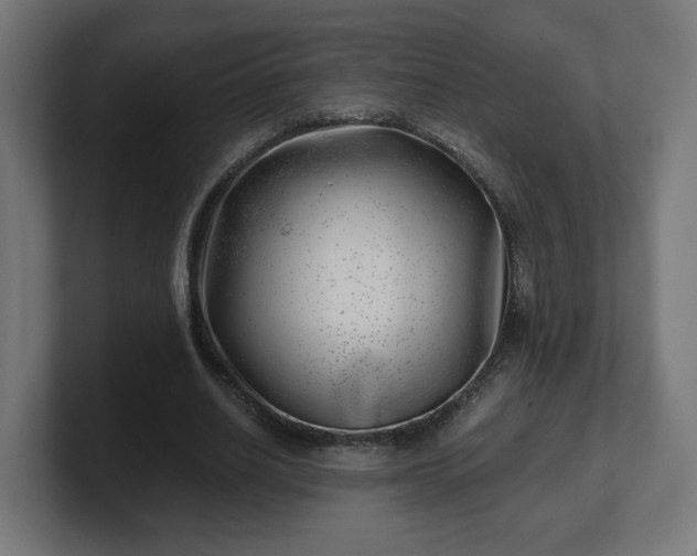 X0000101650630200807171254