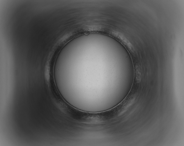 X0000101650631200807171254