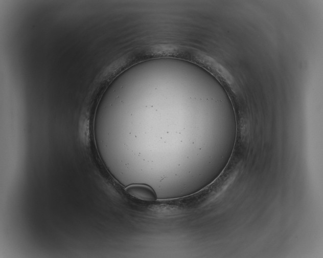 X0000101650633200807171254