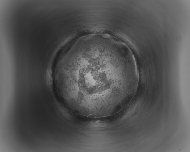 X0000101650634200807171254