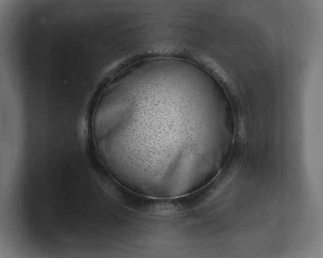 X0000101650636200807171254