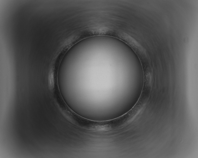 X0000101650638200807171254