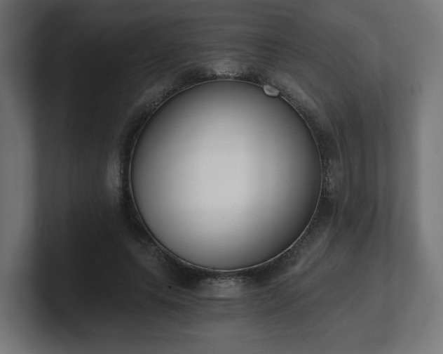 X0000101650639200807171254