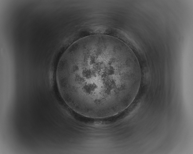 X0000101650641200807171254