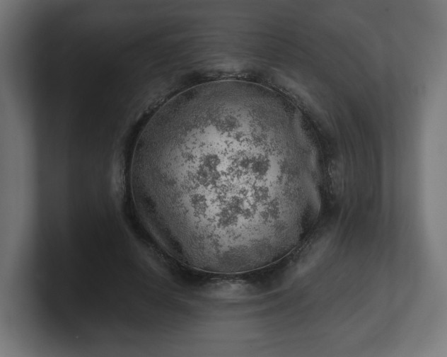 X0000101650642200807171254