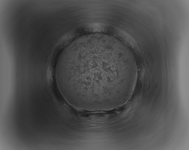 X0000101650643200807171254