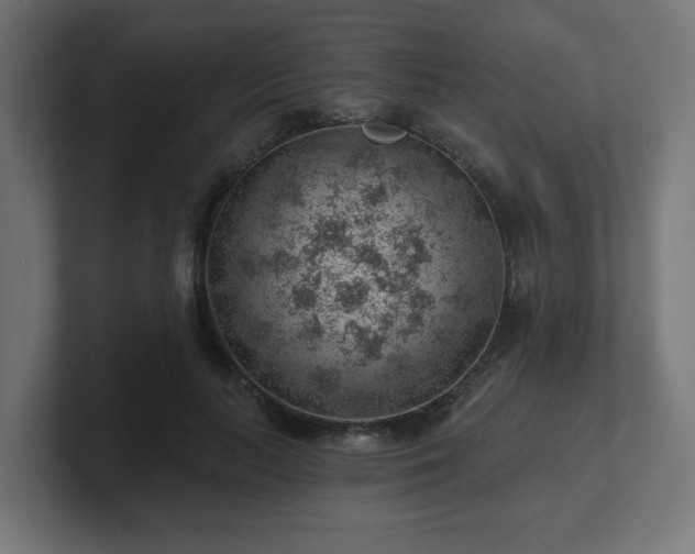 X0000101650647200807171254