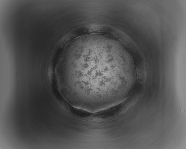 X0000101650648200807171254